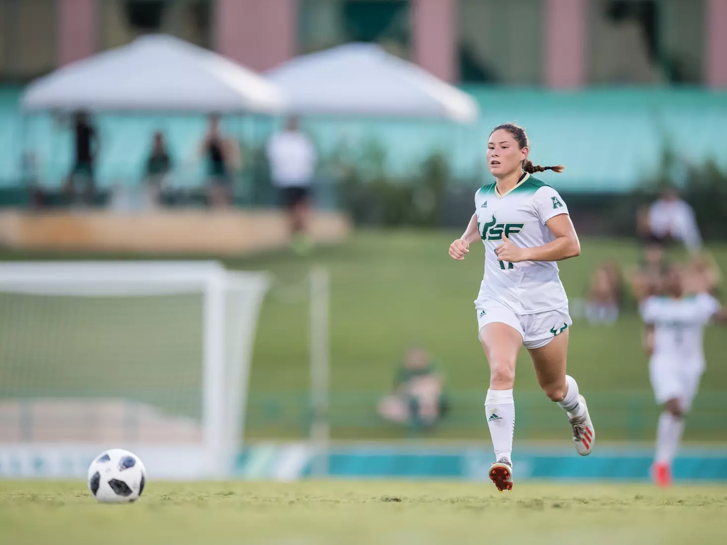 South Florida Bulls during a game against the Auburn Tigers on Thursday August 22, 2019 at Corbett Stadium in Tampa, Florida.