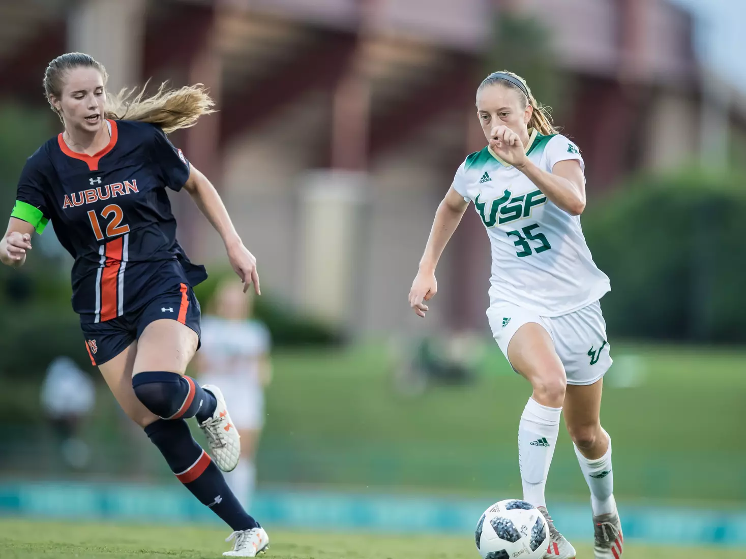 South Florida Bulls during a game against the Auburn Tigers on Thursday August 22, 2019 at Corbett Stadium in Tampa, Florida.