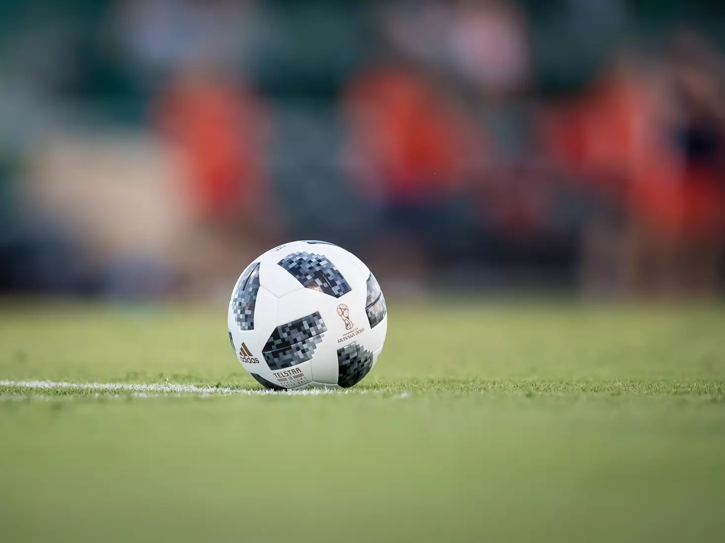 South Florida Bulls during a game against the Auburn Tigers on Thursday August 22, 2019 at Corbett Stadium in Tampa, Florida.