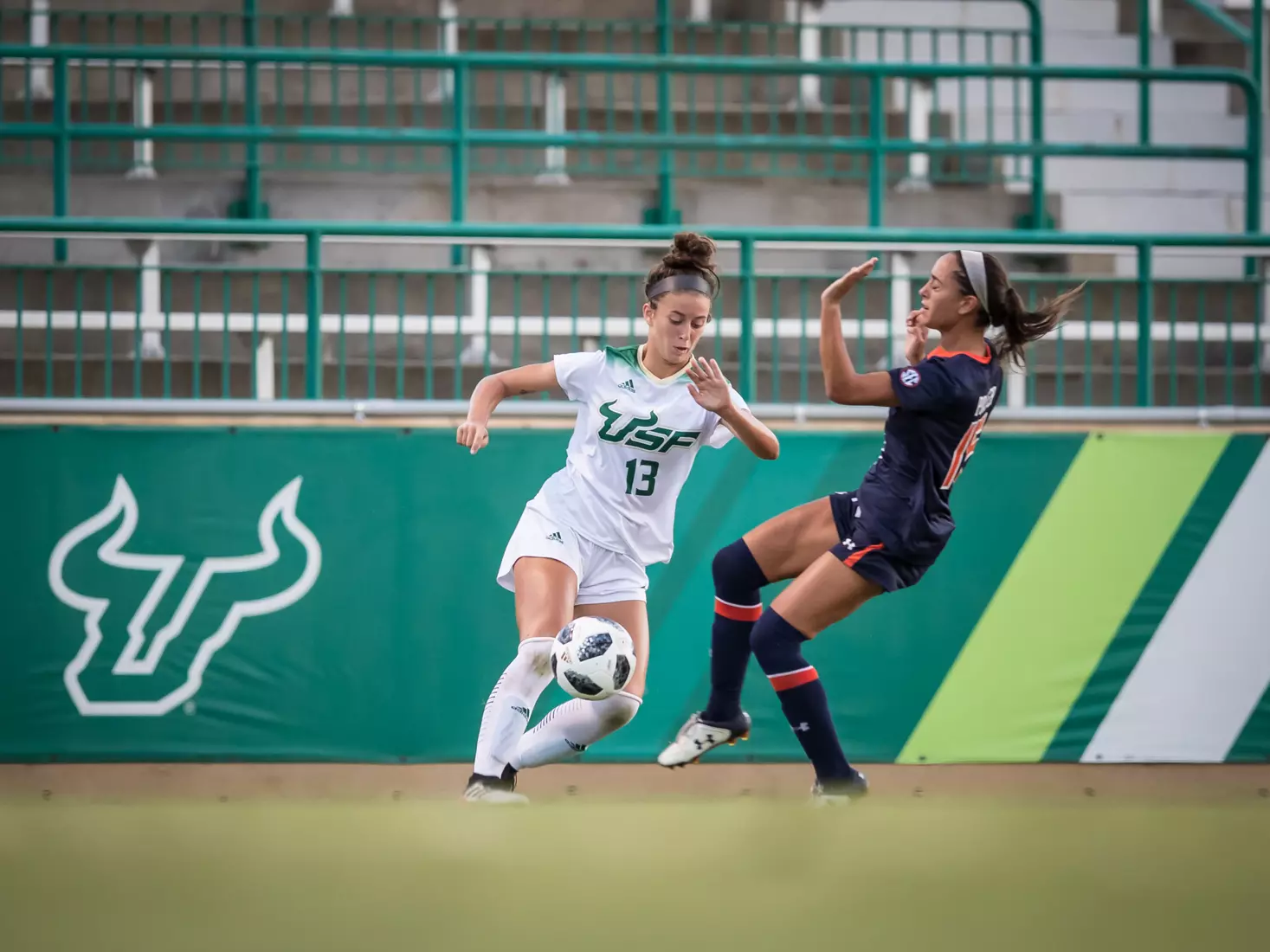South Florida Bulls during a game against the Auburn Tigers on Thursday August 22, 2019 at Corbett Stadium in Tampa, Florida.