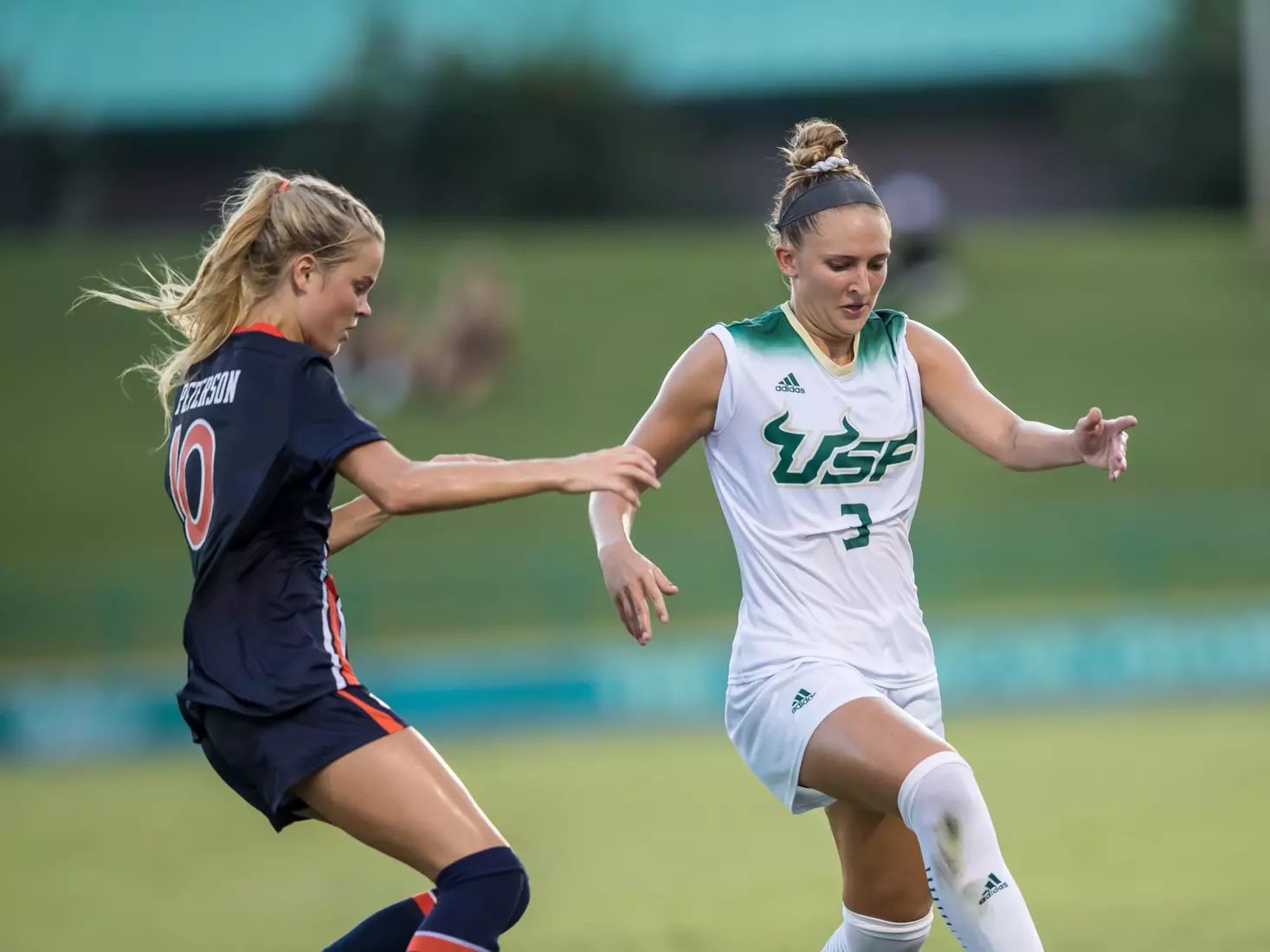 South Florida Bulls during a game against the Auburn Tigers on Thursday August 22, 2019 at Corbett Stadium in Tampa, Florida.