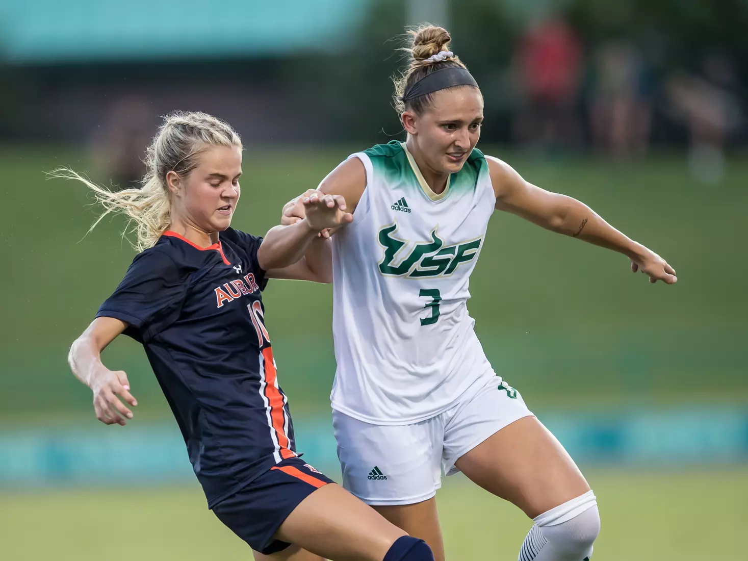 South Florida Bulls during a game against the Auburn Tigers on Thursday August 22, 2019 at Corbett Stadium in Tampa, Florida.