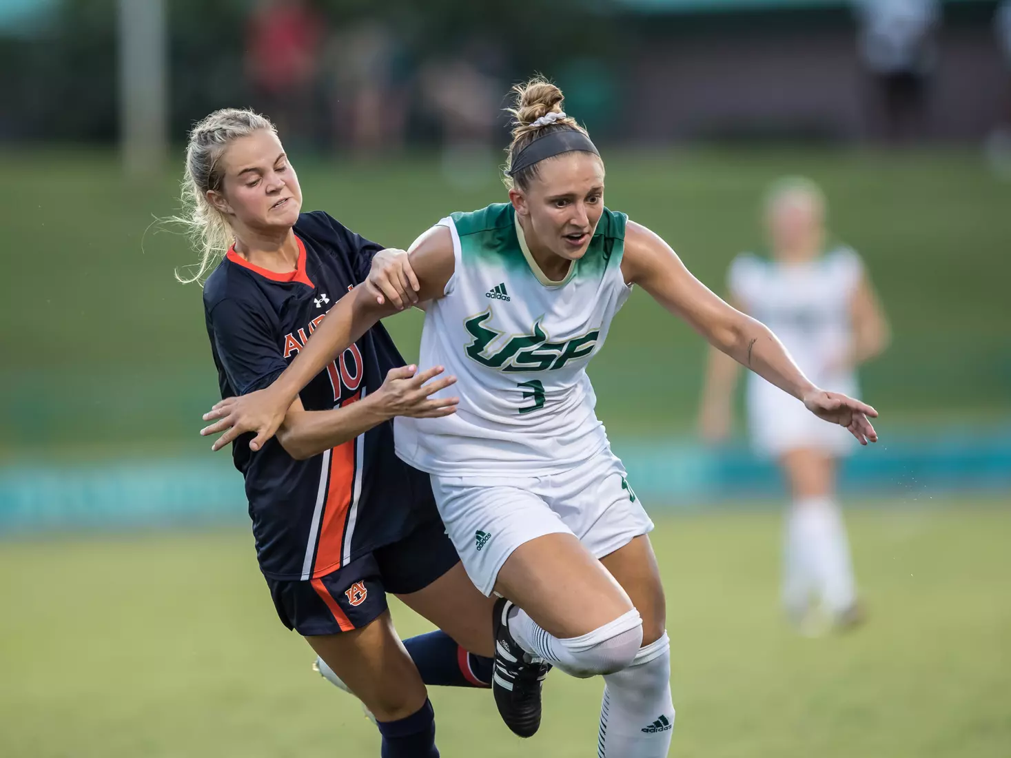 South Florida Bulls during a game against the Auburn Tigers on Thursday August 22, 2019 at Corbett Stadium in Tampa, Florida.