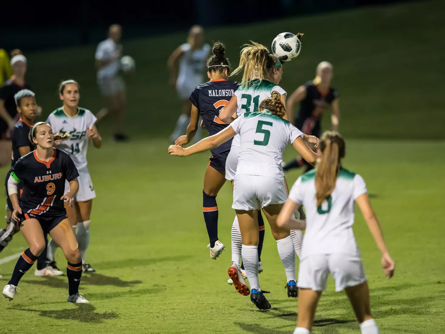 South Florida Bulls during a game against the Auburn Tigers on Thursday August 22, 2019 at Corbett Stadium in Tampa, Florida.