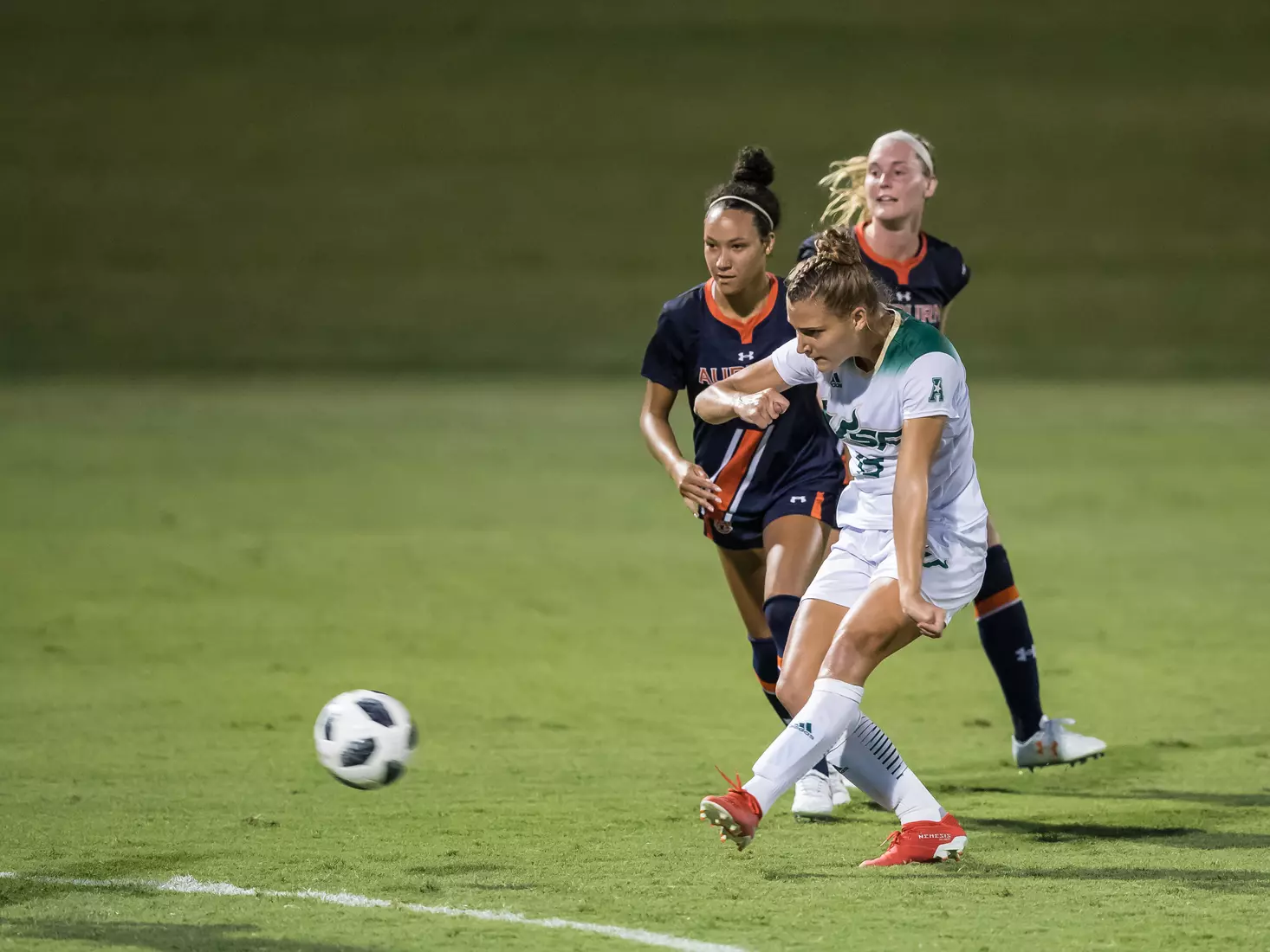 South Florida Bulls during a game against the Auburn Tigers on Thursday August 22, 2019 at Corbett Stadium in Tampa, Florida.