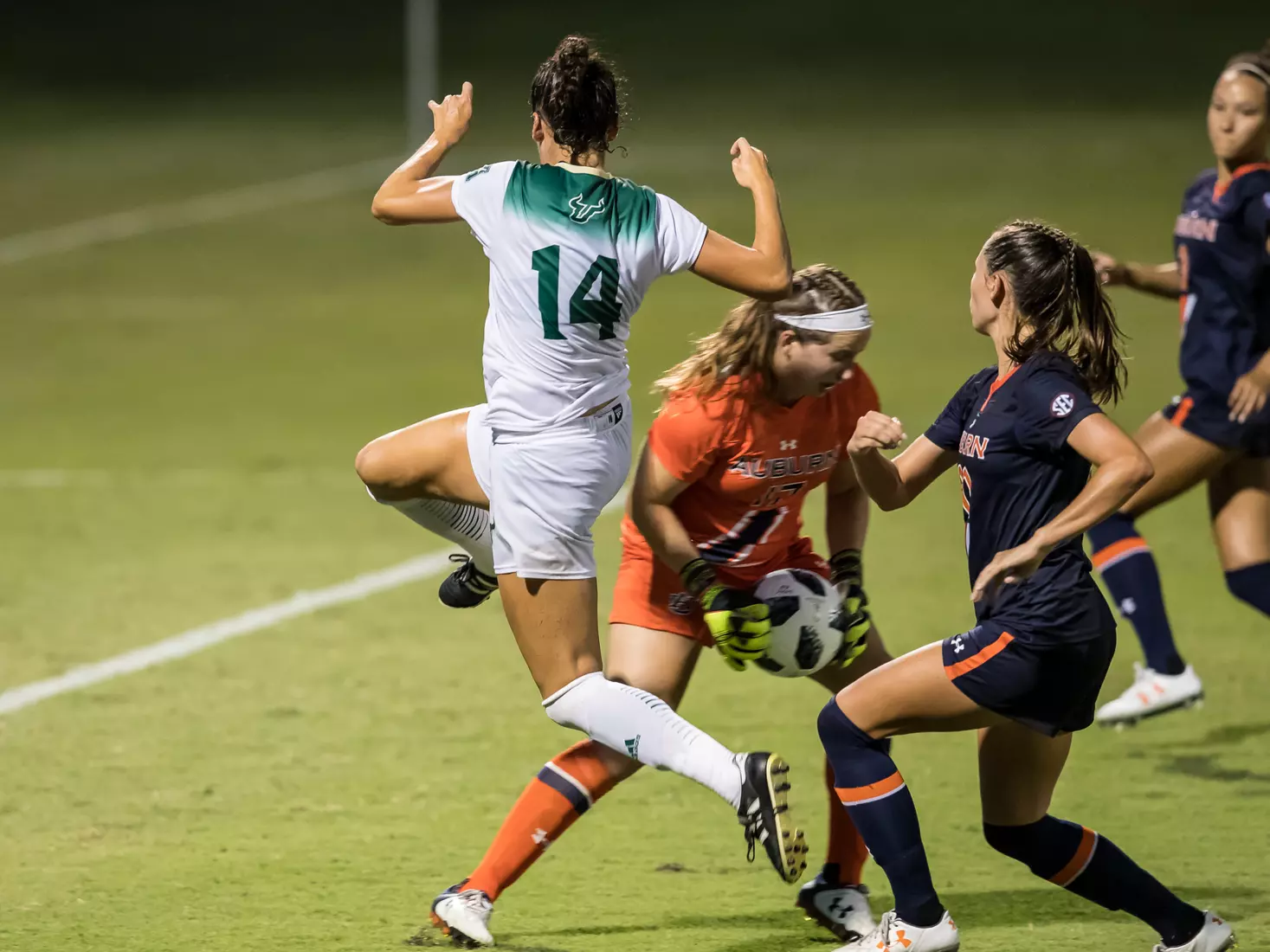 South Florida Bulls during a game against the Auburn Tigers on Thursday August 22, 2019 at Corbett Stadium in Tampa, Florida.