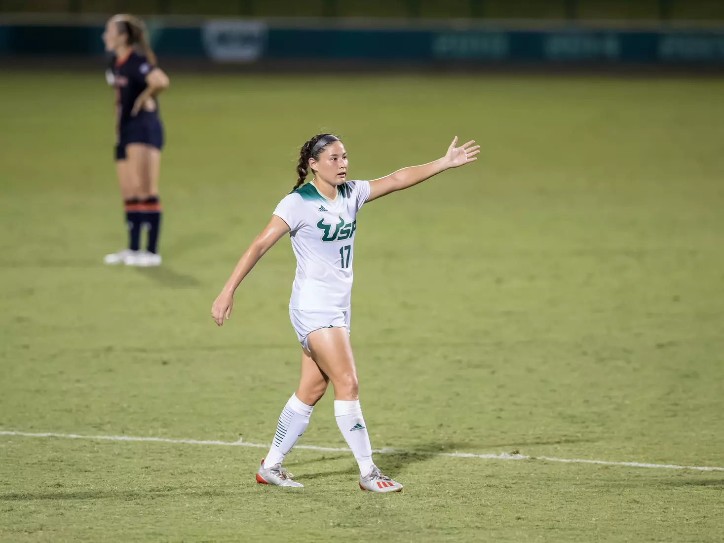 South Florida Bulls during a game against the Auburn Tigers on Thursday August 22, 2019 at Corbett Stadium in Tampa, Florida.