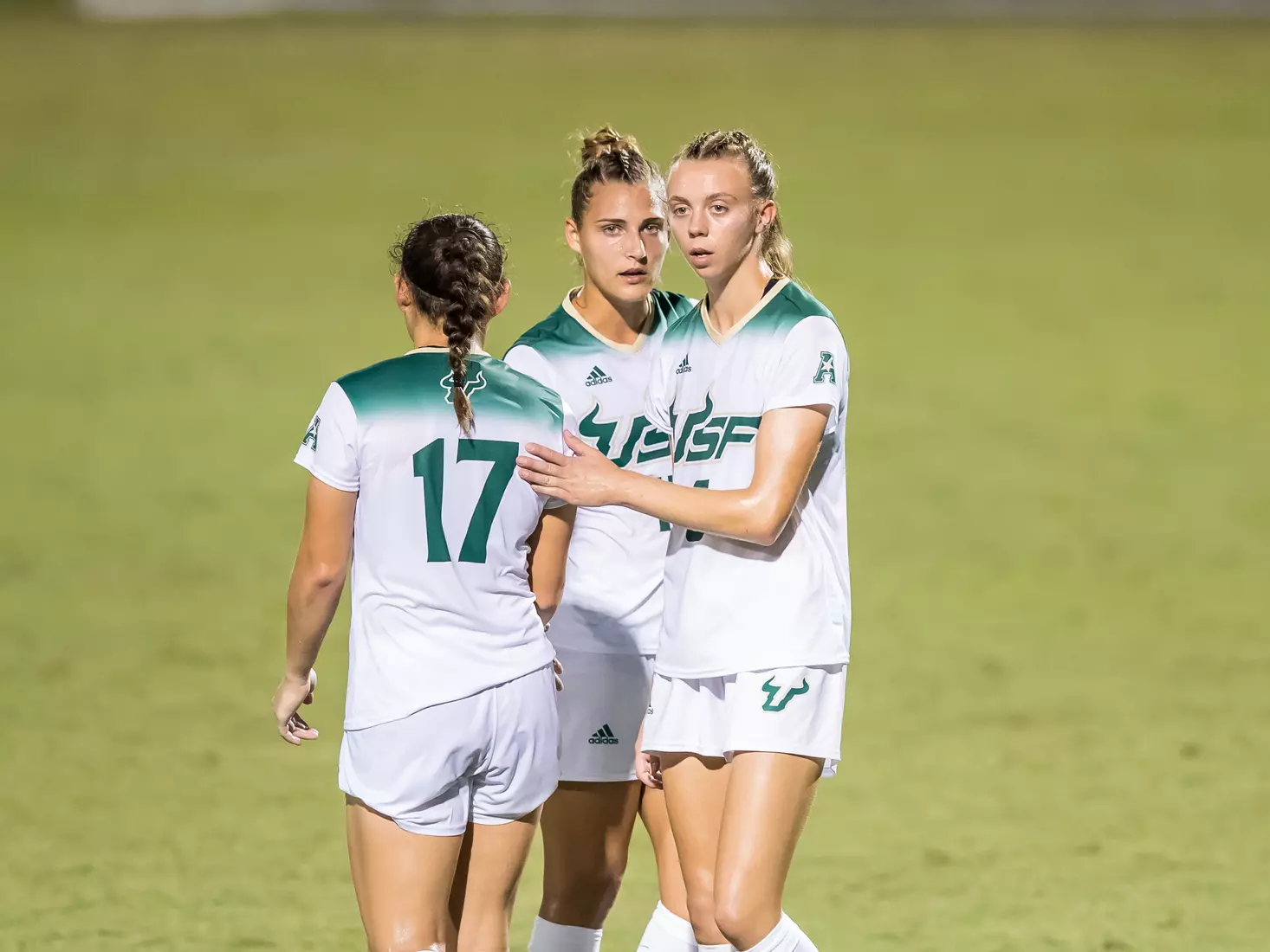South Florida Bulls during a game against the Auburn Tigers on Thursday August 22, 2019 at Corbett Stadium in Tampa, Florida.
