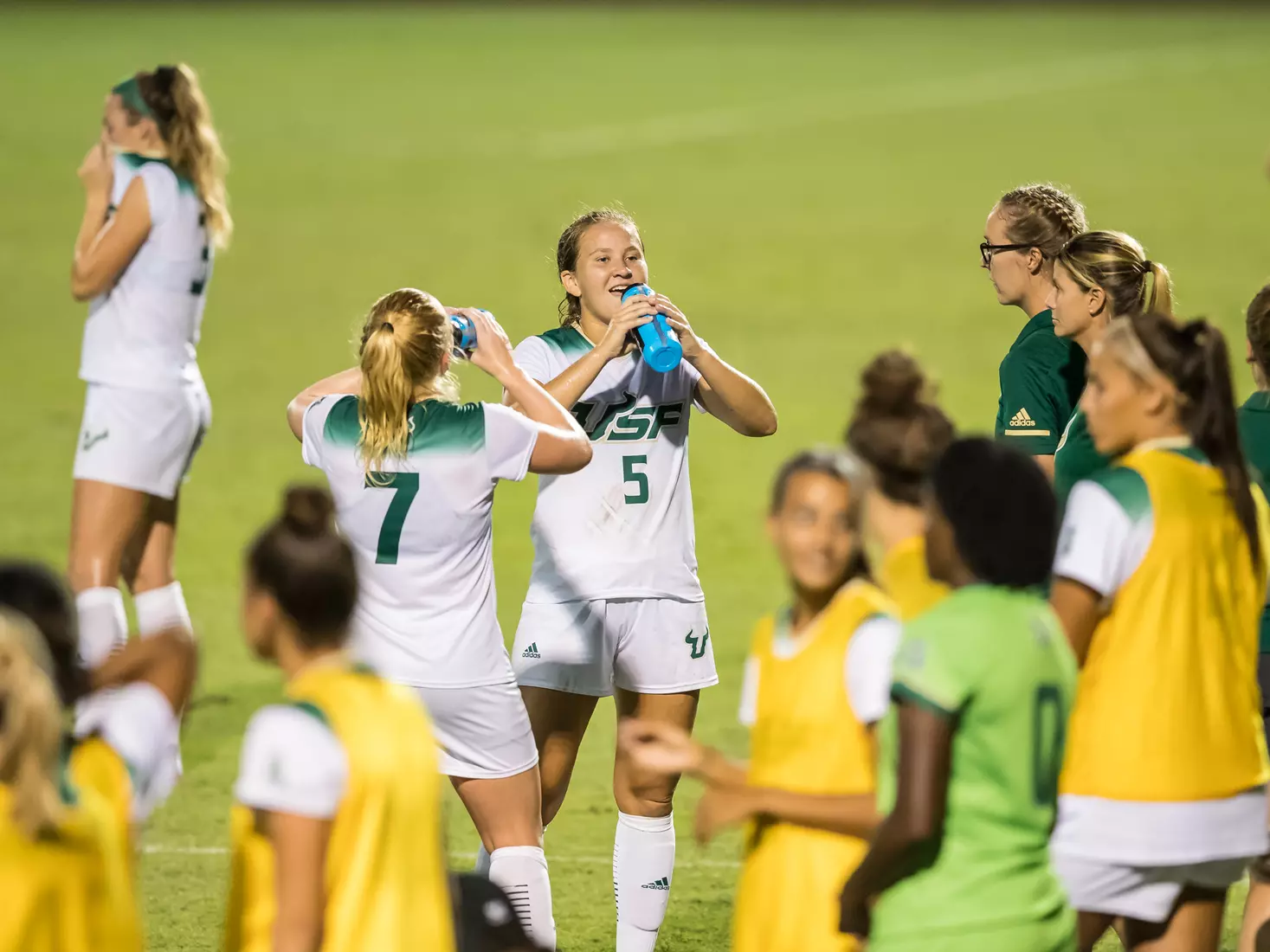 South Florida Bulls during a game against the Auburn Tigers on Thursday August 22, 2019 at Corbett Stadium in Tampa, Florida.