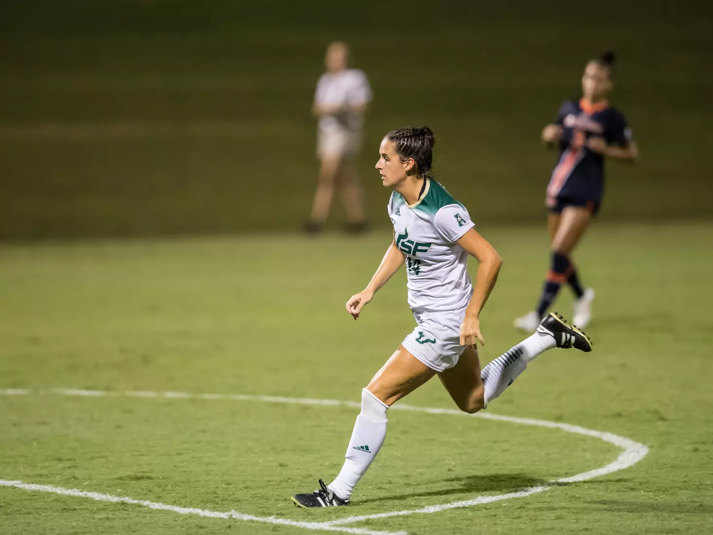 South Florida Bulls during a game against the Auburn Tigers on Thursday August 22, 2019 at Corbett Stadium in Tampa, Florida.