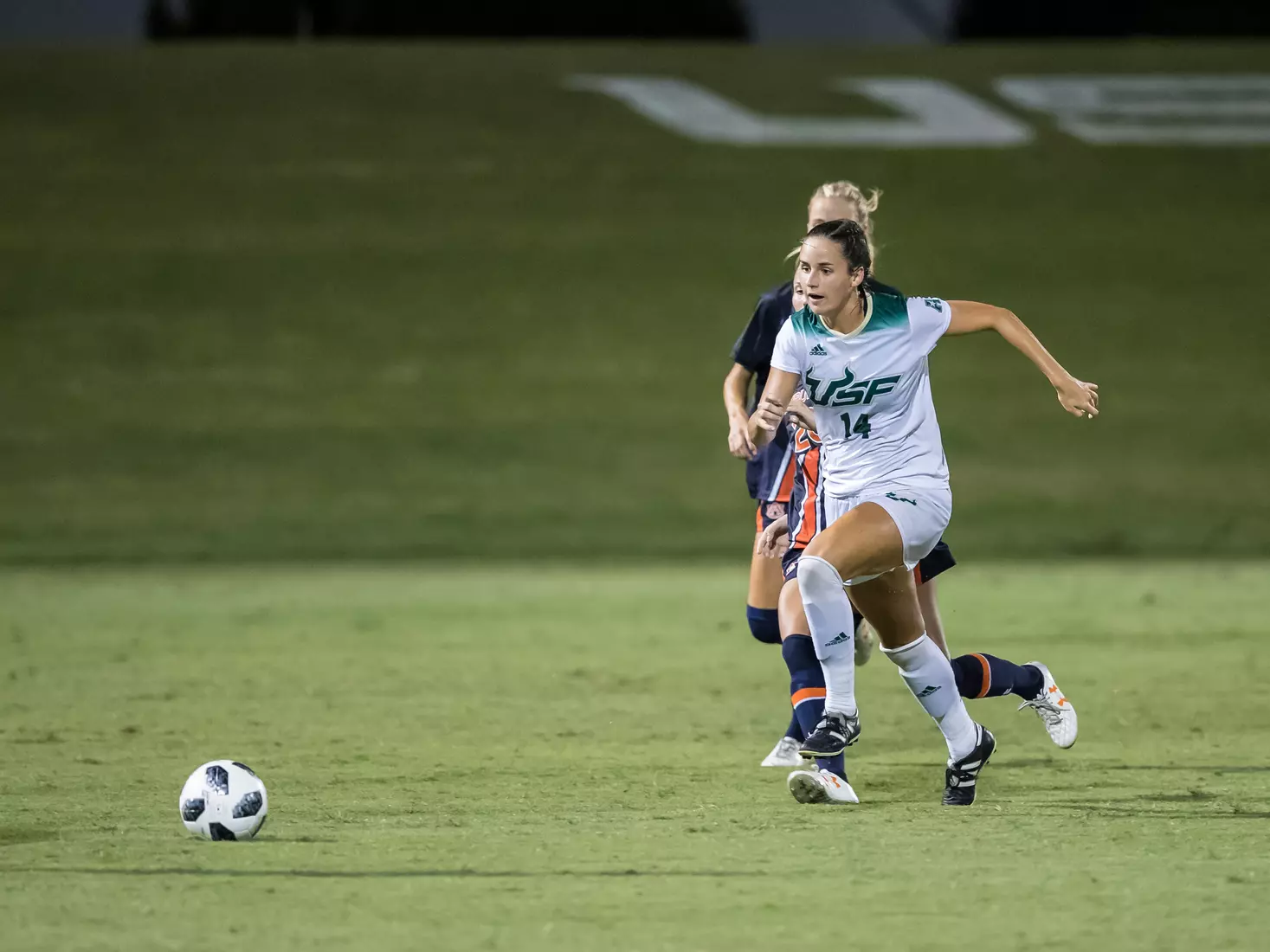 South Florida Bulls during a game against the Auburn Tigers on Thursday August 22, 2019 at Corbett Stadium in Tampa, Florida.