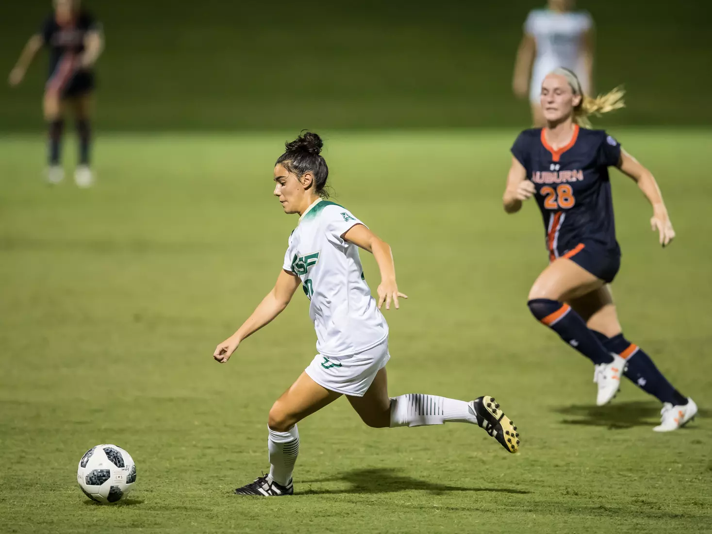 South Florida Bulls during a game against the Auburn Tigers on Thursday August 22, 2019 at Corbett Stadium in Tampa, Florida.