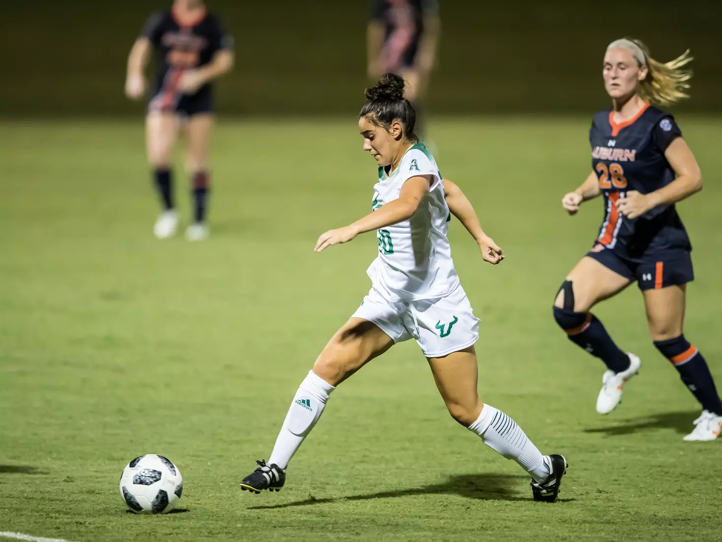 South Florida Bulls during a game against the Auburn Tigers on Thursday August 22, 2019 at Corbett Stadium in Tampa, Florida.
