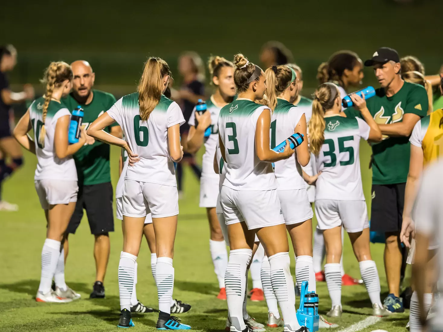 South Florida Bulls during a game against the Auburn Tigers on Thursday August 22, 2019 at Corbett Stadium in Tampa, Florida.