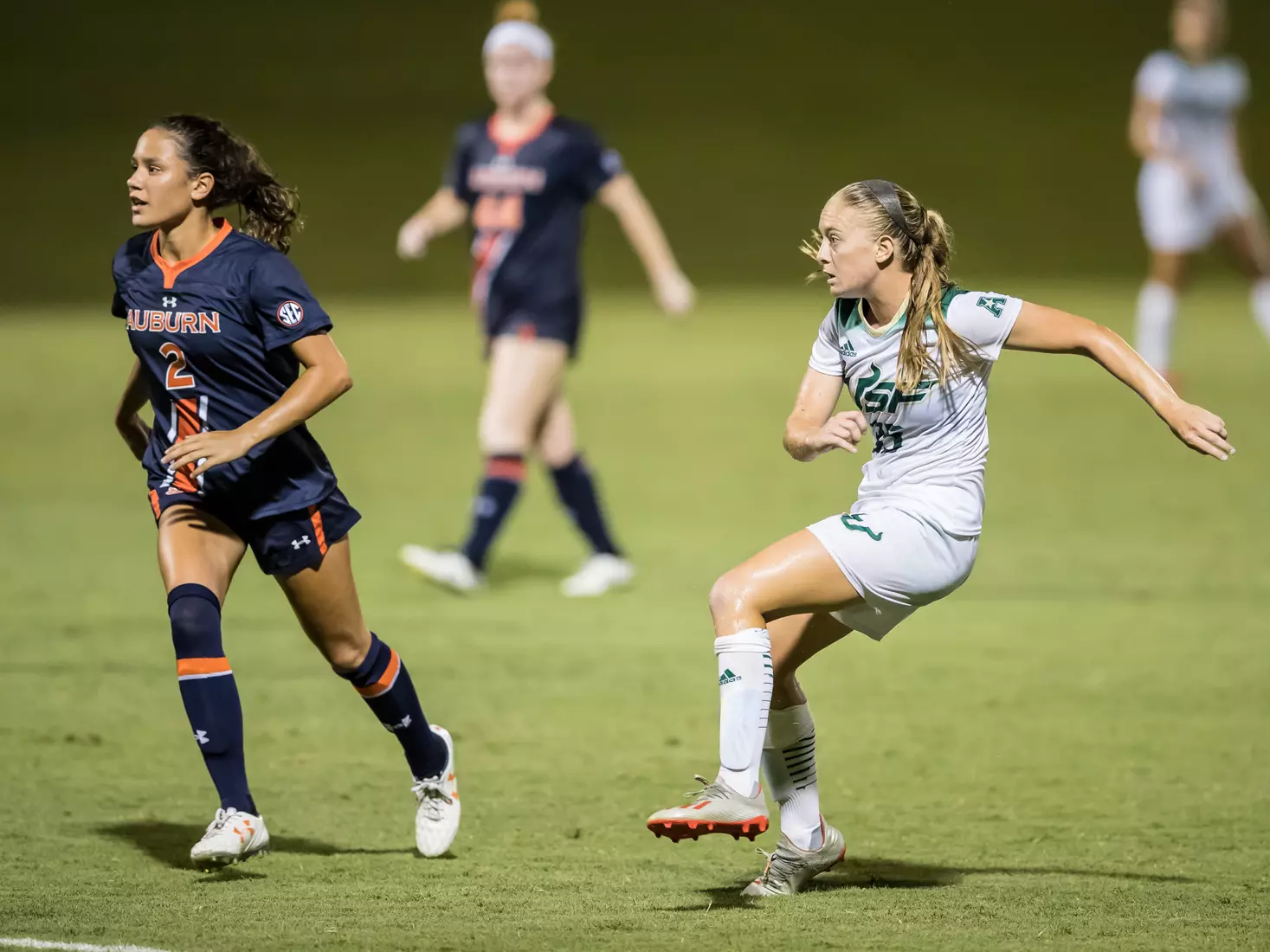 South Florida Bulls during a game against the Auburn Tigers on Thursday August 22, 2019 at Corbett Stadium in Tampa, Florida.