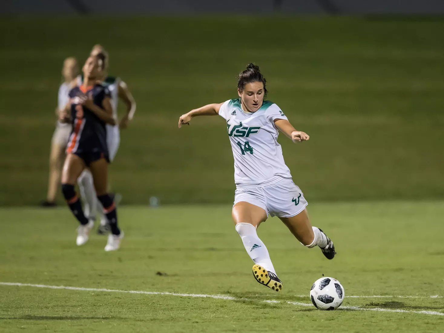 South Florida Bulls during a game against the Auburn Tigers on Thursday August 22, 2019 at Corbett Stadium in Tampa, Florida.