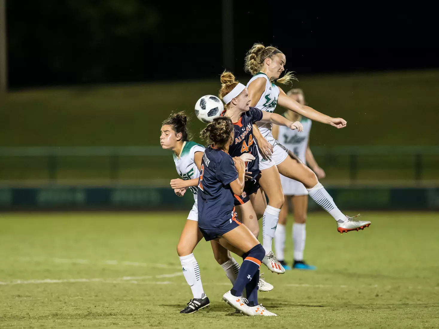 South Florida Bulls during a game against the Auburn Tigers on Thursday August 22, 2019 at Corbett Stadium in Tampa, Florida.