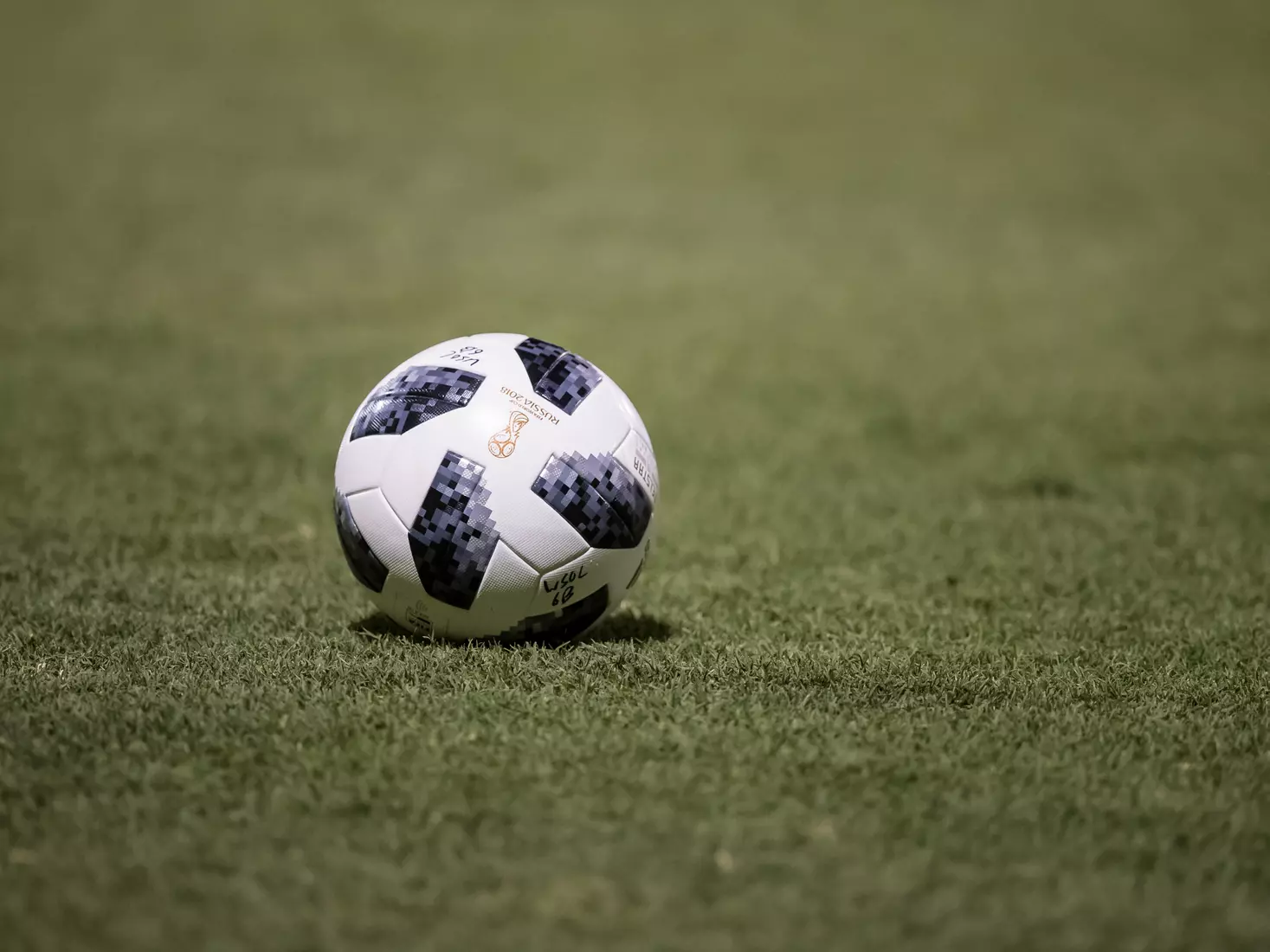 South Florida Bulls during a game against the Auburn Tigers on Thursday August 22, 2019 at Corbett Stadium in Tampa, Florida.