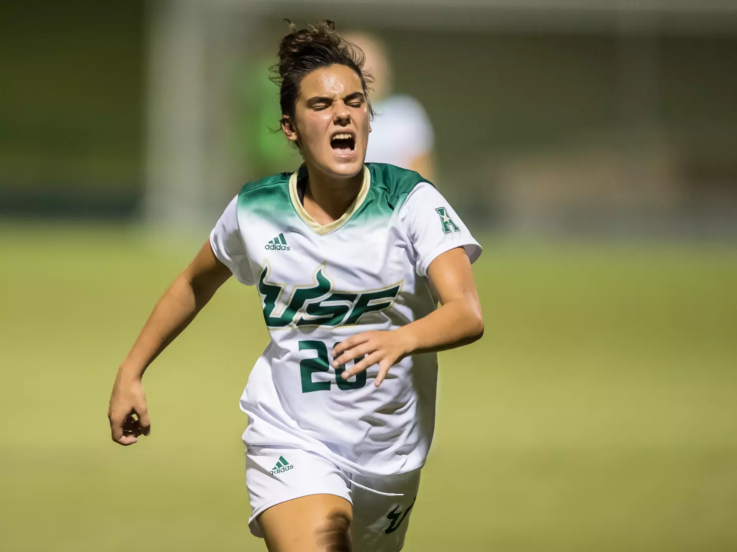 South Florida Bulls during a game against the Auburn Tigers on Thursday August 22, 2019 at Corbett Stadium in Tampa, Florida.