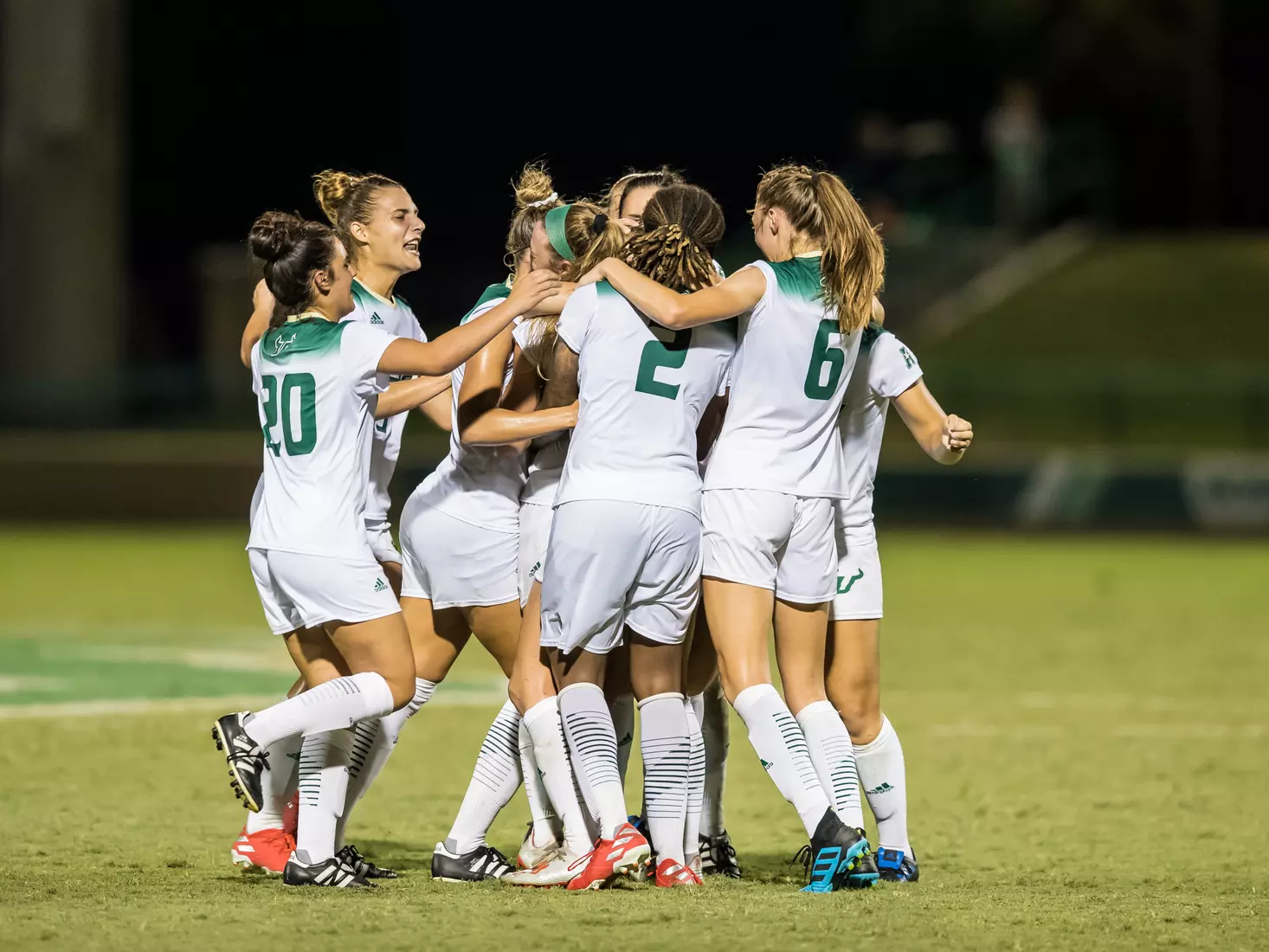 South Florida Bulls during a game against the Auburn Tigers on Thursday August 22, 2019 at Corbett Stadium in Tampa, Florida.