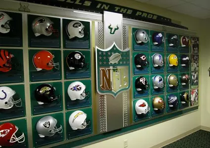 Bulls on NFL Sundays