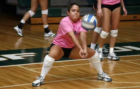 Volleyball Chat Transcript: Bulls Shut Down Seton Hall, 3-0