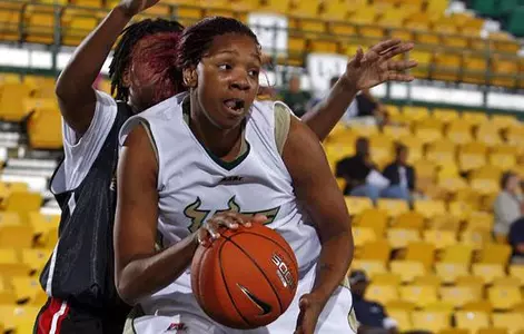 Bulls Live Chat: USF vs. Loyola