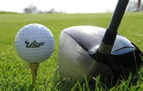 Lessons from the Links