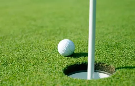 USF's Golf Course, The Claw