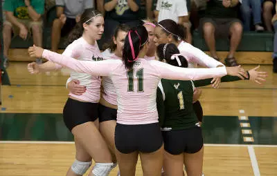 Volleyball Chat Transcript: Bulls Down Cards In Three