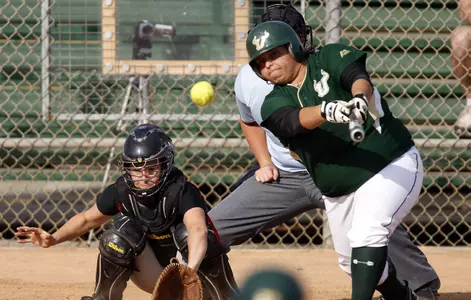 Softball Chat Transcript: Bulls Split With Red Storm