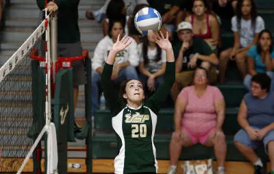 Bulls Fall to New Mexico in Season Opener