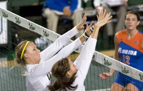 Volleyball Chat Transcript: Bulls Dominate Lafayette