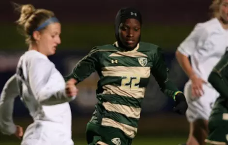 Reid, Waller Power Bulls into First BIG EAST Finals