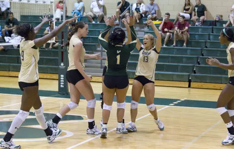 Chat Transcript: Bulls Sweep Florida A&M, 3-0