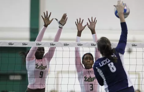 Bulls Roll to Third Straight Big East Win