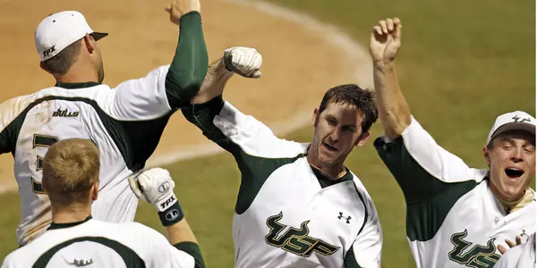 Bulls Power Past Top-Seeded Louisville