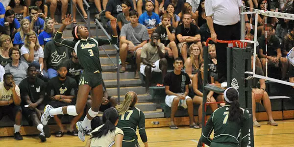 Walton, Bulls Sweep Away Wildcats