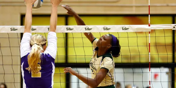 Fairs Headlines Bulls' Options at Outside Hitter