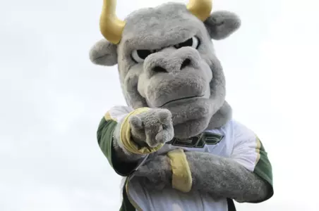 The Story Behind Rocky the Bull