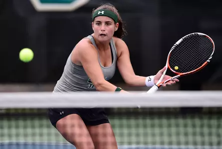 Bulls Fight Falls Short Against FSU