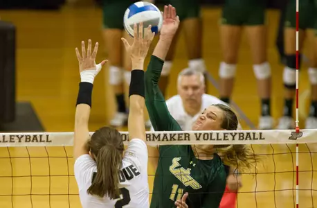 Bulls Top Bearcats in Final Home Match