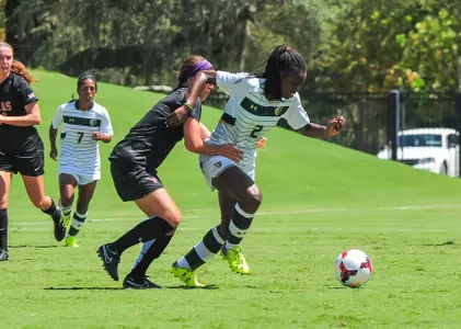 Bulls Fall to Tigers in Second Conference Match