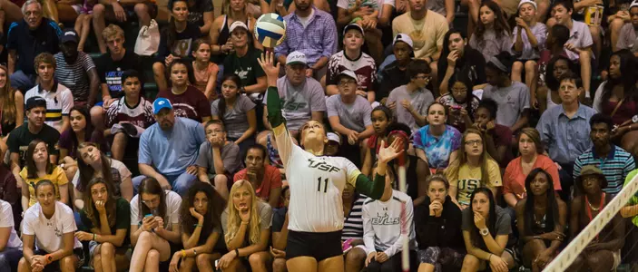 Bulls Stay Hot With 3-1 Win Over Tigers