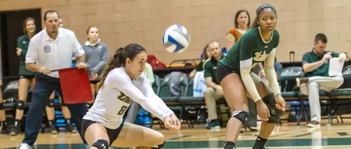 USF Falls to Cincinnati 3-1