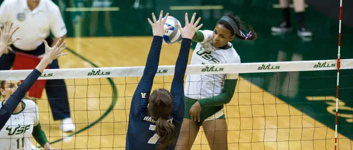 Bulls Fall to Knights, 3-1