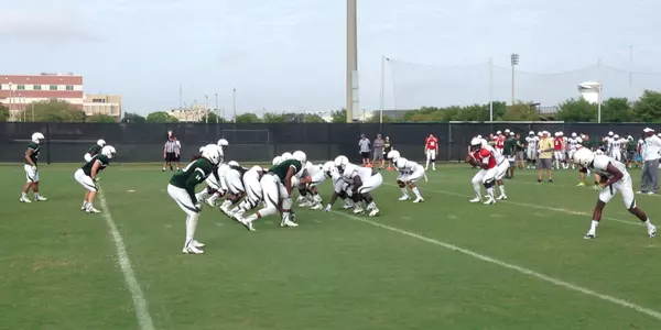 Bulls' Up-Tempo Offense Coming Together Quickly