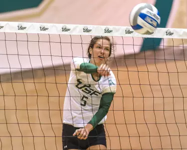 Bulls' Goodnight Sinks Rattlers
