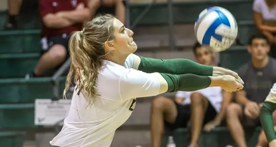 Bulls Improve to 2-0 with Win over Mercer