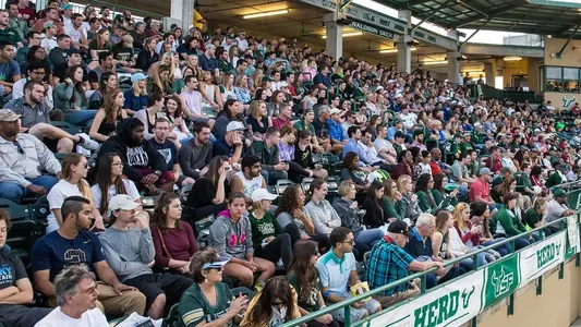 Fans vs. FSU in 2016